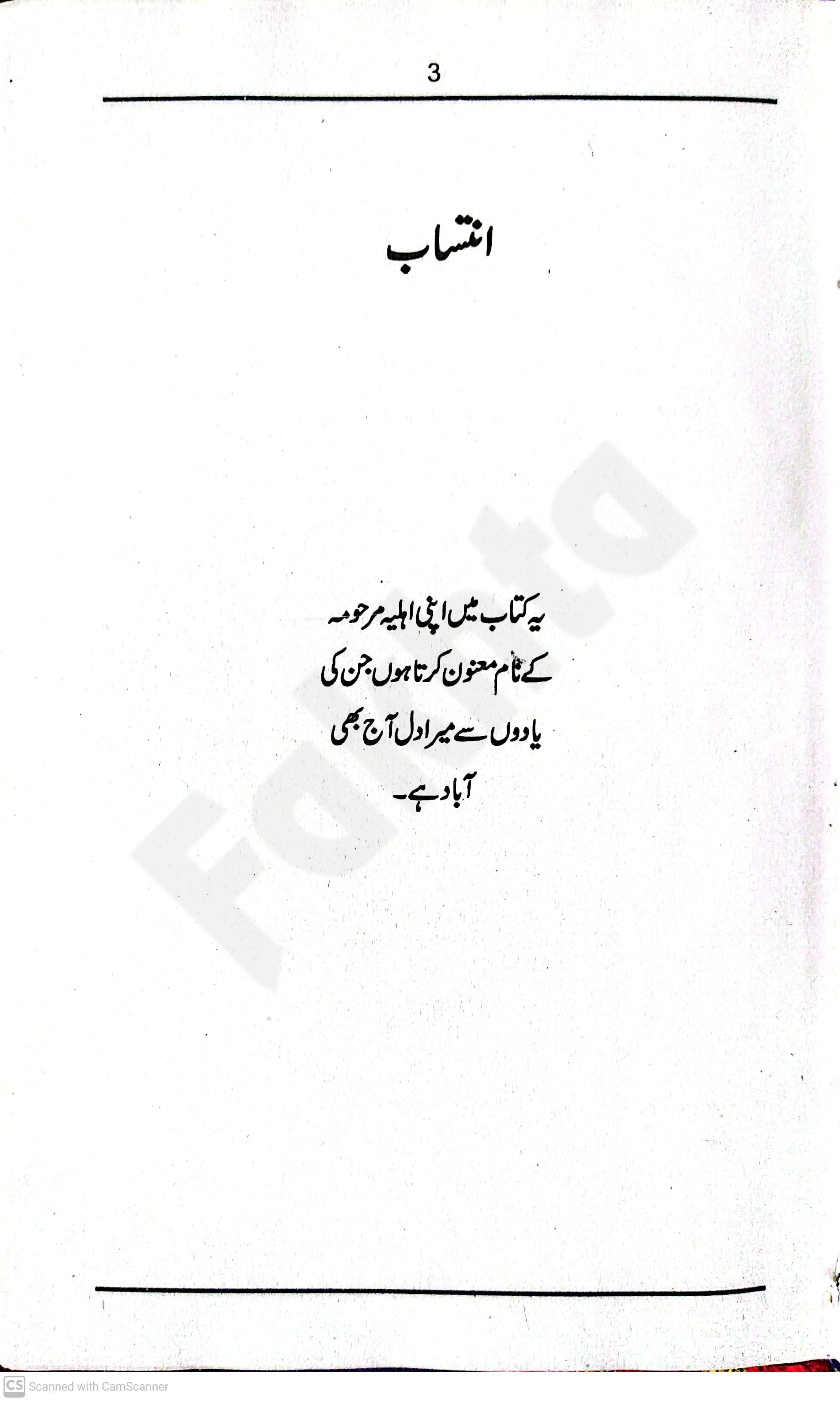 صفحہ
